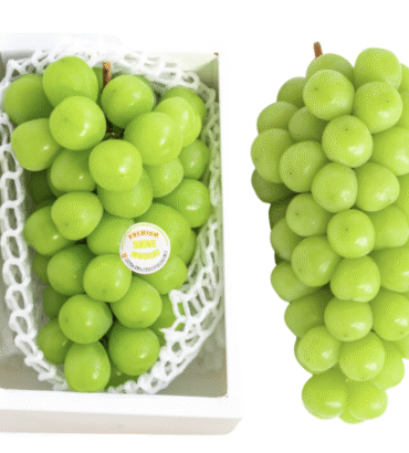 Nho mẫu đơn Premium Hàn Quốc