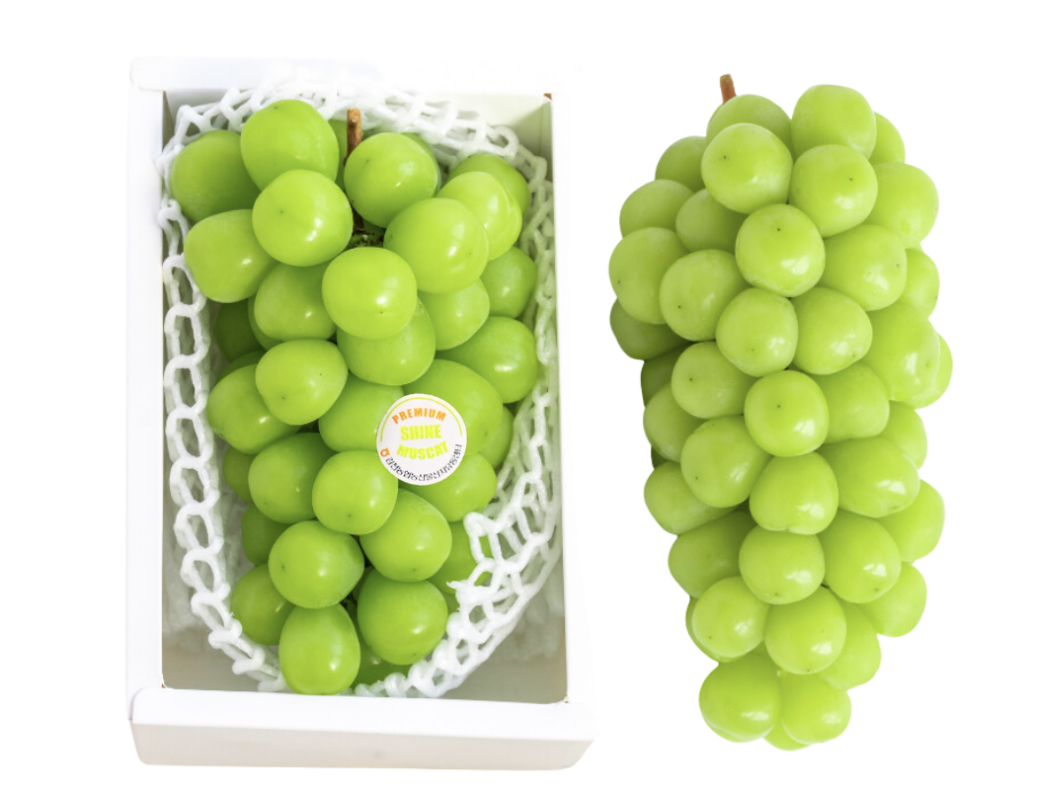 Nho mẫu đơn Premium Hàn Quốc