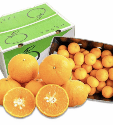Quýt Úc size XL - Thùng 9 kg