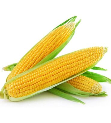 Bắp Mỹ (Khay 400G-500G)